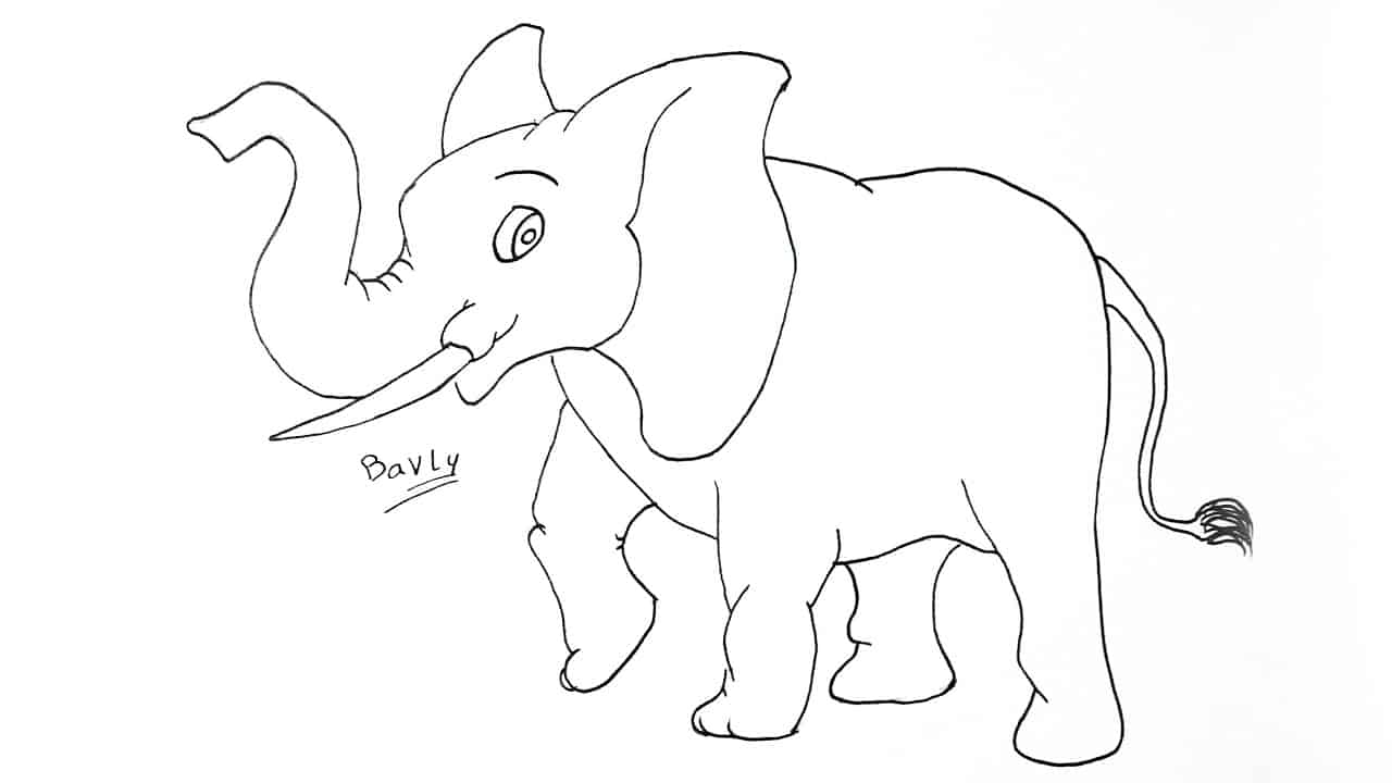 كيفية رسم الحيوانات