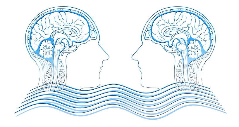 علاقة علم النفس بالعلوم الأخرى