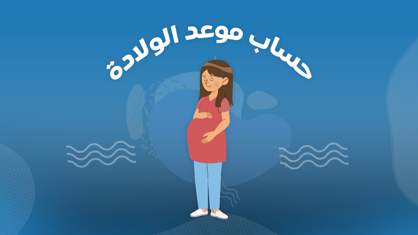 حاسبة الحمل بالأسابيع و الأشهر الدقيقة شرح تفصيلي