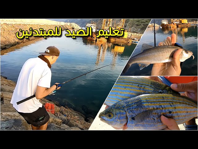 تعليم صيد السمك للمبتدئين