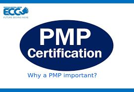 سعر كورس pmp الجامعة الأمريكية 2022