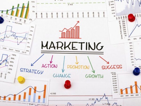 كورس marketing الجامعة الامريكية
