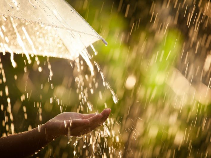 كلمات جميلة عن نزول المطر