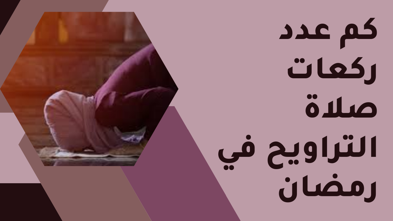 عدد ركعات صلاة التراويح