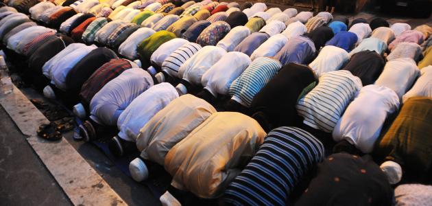 فضل صلاة التراويح