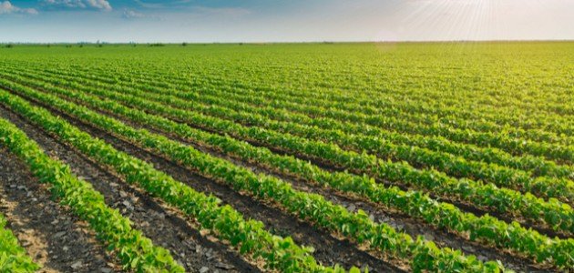 كيفيه الحصول على أرض زراعية من الدولة