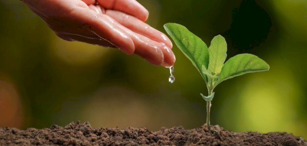 كيفيه الحصول على أرض زراعية من الدولة