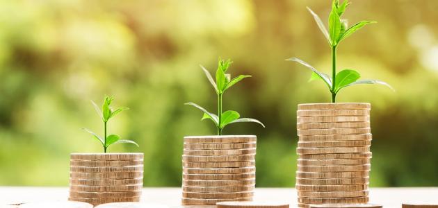 مشروع صغير وناجح في الارياف