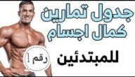 كورس كمال أجسام افضل كورسات كمال الاجسام للمبتدئين واهم معلومات الرياضة
