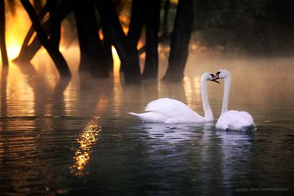 قصص وروايات سعودية رومانسية كاملة