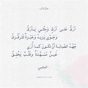 ارق على ارق من أجمل قصائد المتنبي