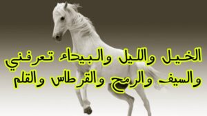 الخيل والليل والبيداء تعرفني