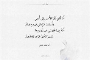 انا الذي نظر الاعمى الى ادبي