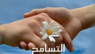 انشاء عن التسامح قصير وسهل وأثره على الفرد والمجتمع