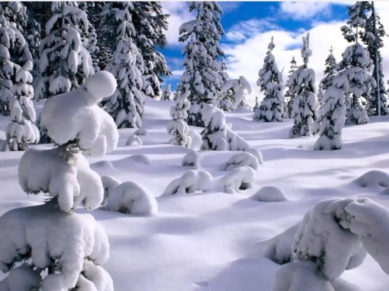 انشاء عن الشتاء