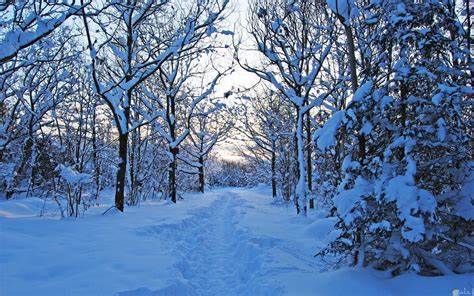 انشاء عن الشتاء