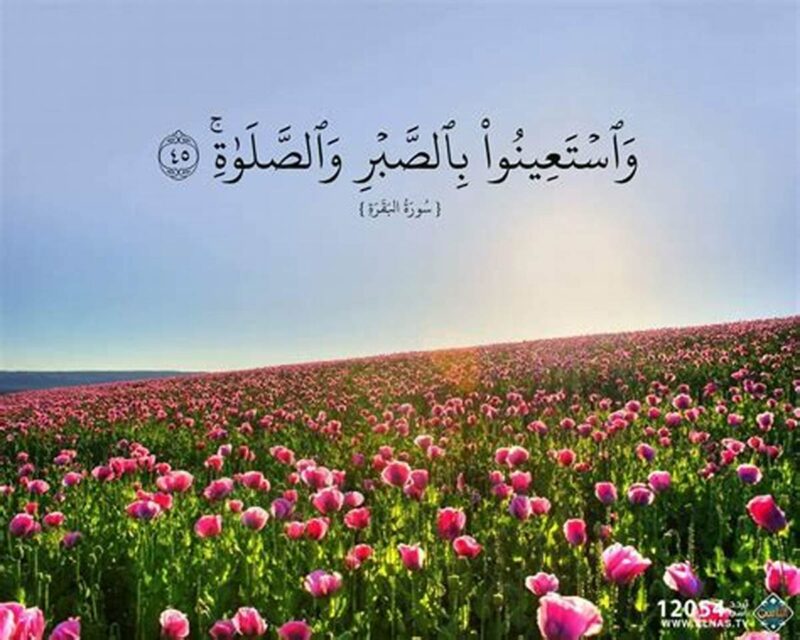 ايات قرانية عن صبر