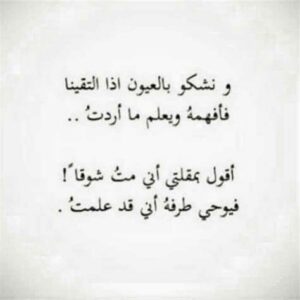 بيت شعر عن الحب