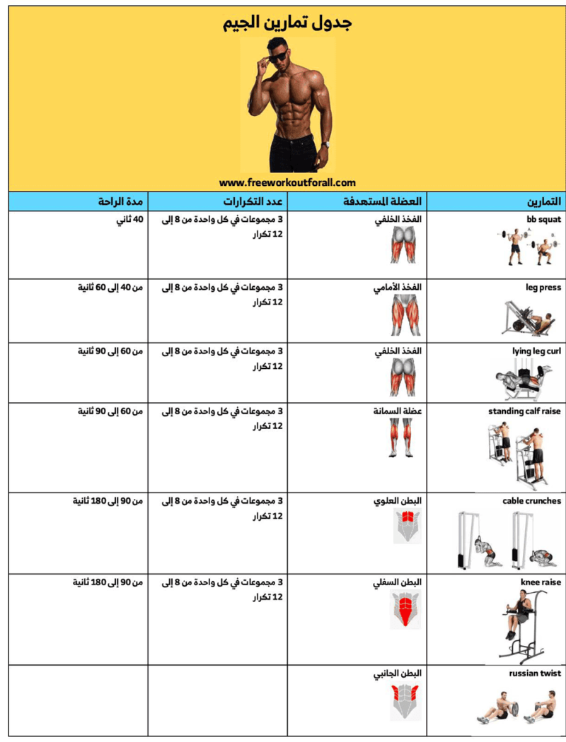جدول تمارين جيم