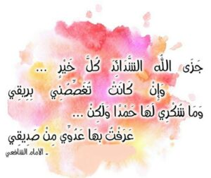 جزى الله الشدائد كل خير