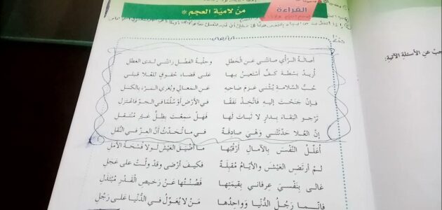 شرح قصيدة من لامية العجم للصف العاشر لغة عربية