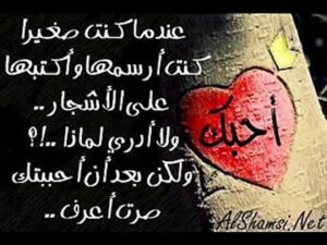 شعر عن الحب