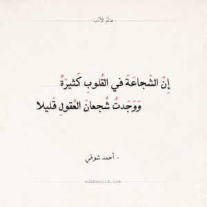 شعر عن الشجاعة