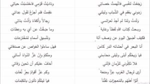 شعر عن اللغة العربية