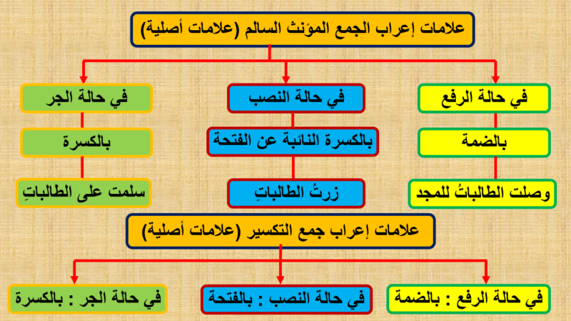 علامة اعراب جمع المؤنث السالم