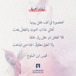 فلو كان لي قلبان