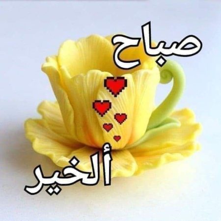 كلمه صباح عن العلم