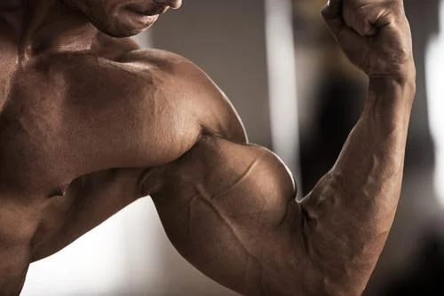 متى تظهر نتائج الكرياتين