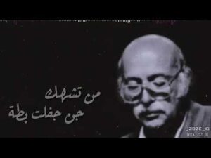 مظفر النواب غزل