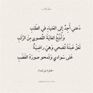 من أجمل ابيات عنترة بن شداد