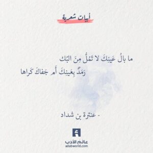 من أجمل ابيات عنترة بن شداد