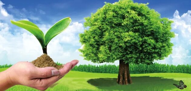 موضوع عن البيئة تعرفيها ودور الفرد تجاهها