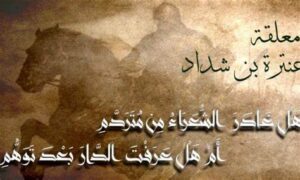 هل غادر الشعراء من متردم
