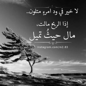 ولا خير في ود امرئ متلون