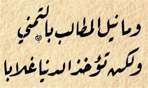 وما نيل المطالب بالتمني