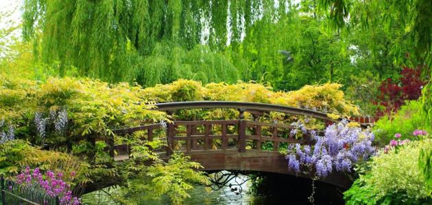 تعبير عن الطبيعة