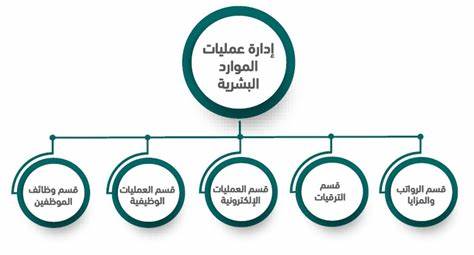 تعريف الموارد البشرية