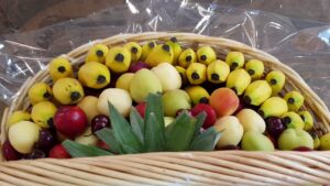 سلة فواكه هدية