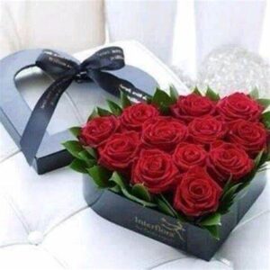 هدية عيد ميلاد حبيبتي