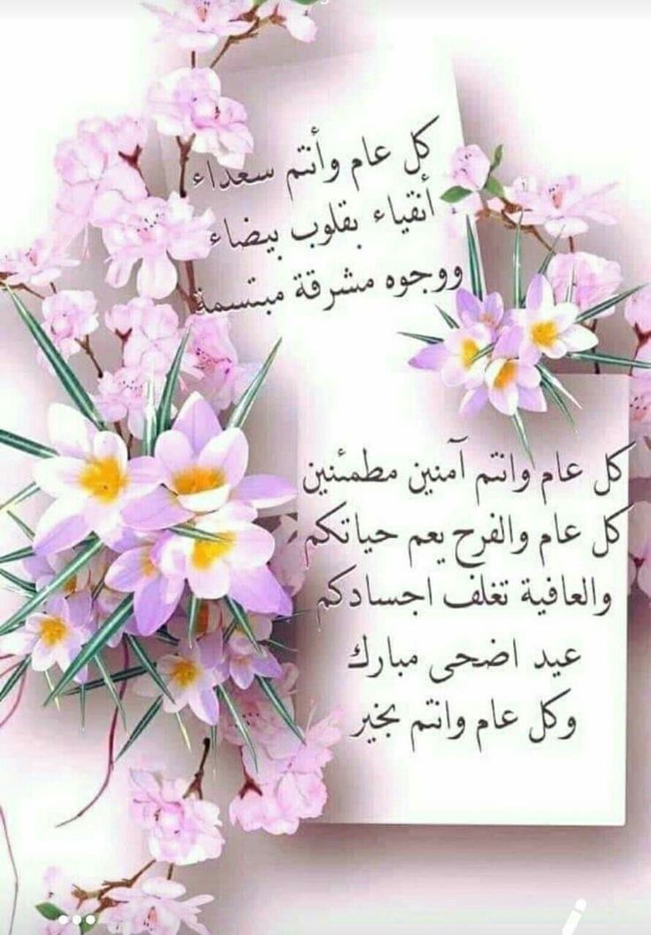 شعر ابن الجوزي الصلاة على النبي