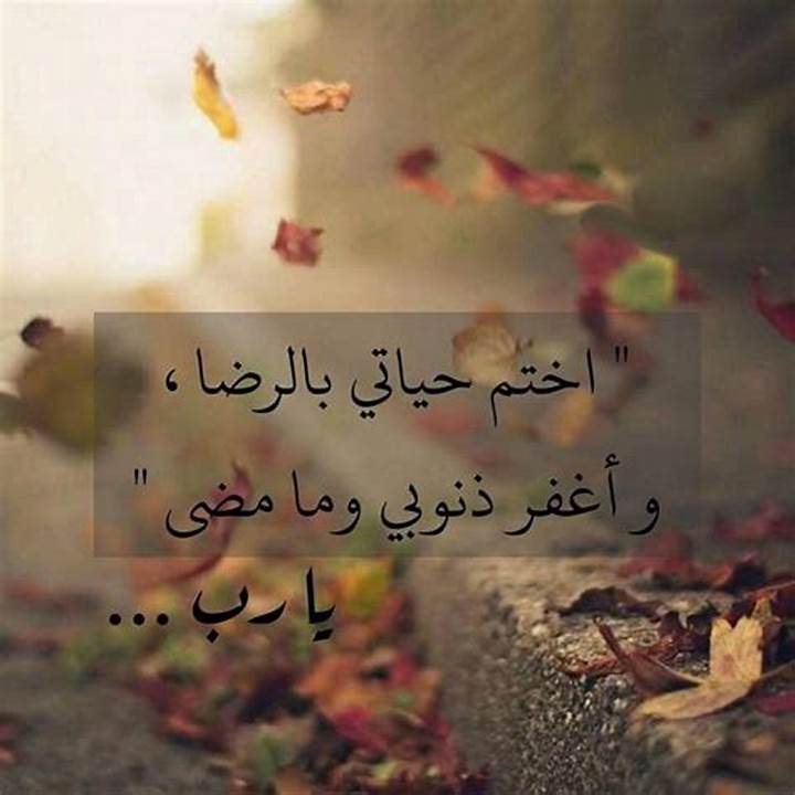 صور منوعة جميلة