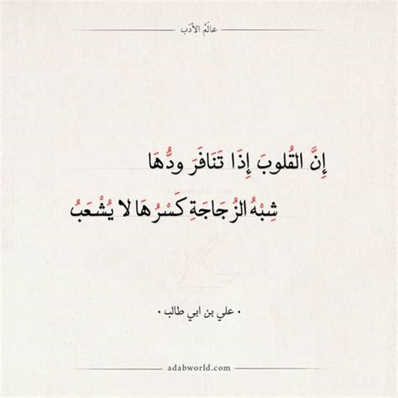 شعر علي بن أبي طالب وتحسب انك جرم صغير