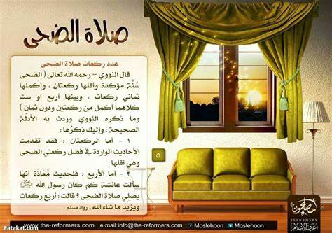 صلاة الضحى كم ركعه