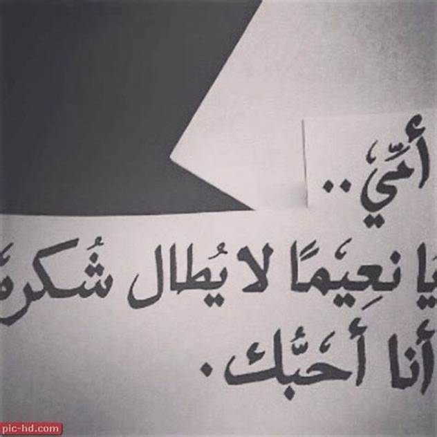 ابيات شعر عن الحب قصيرة