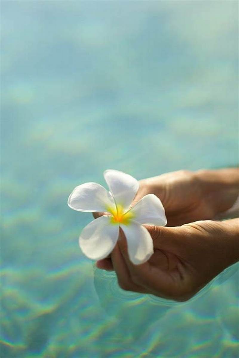 صور منوعة جميلة