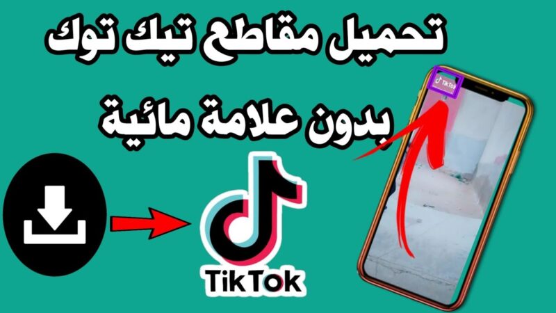 تنزيل فيديوهات تيك توك